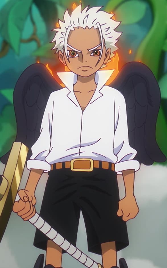 S-Hawk